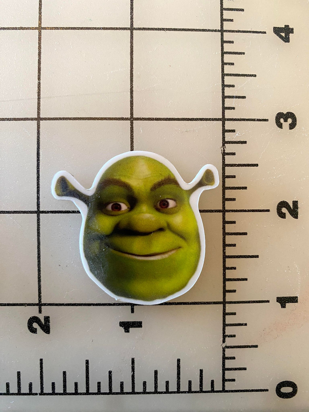 Shrek Flat Back Printed Resin