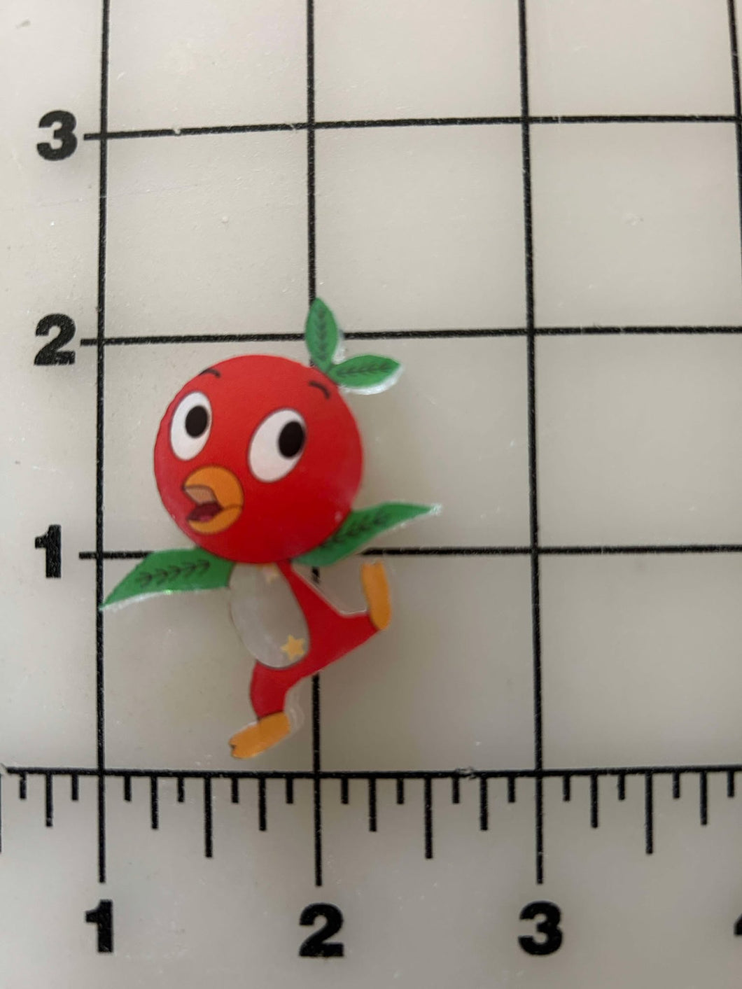 NEW Orange Bird shaker box Flat back Printed Resin