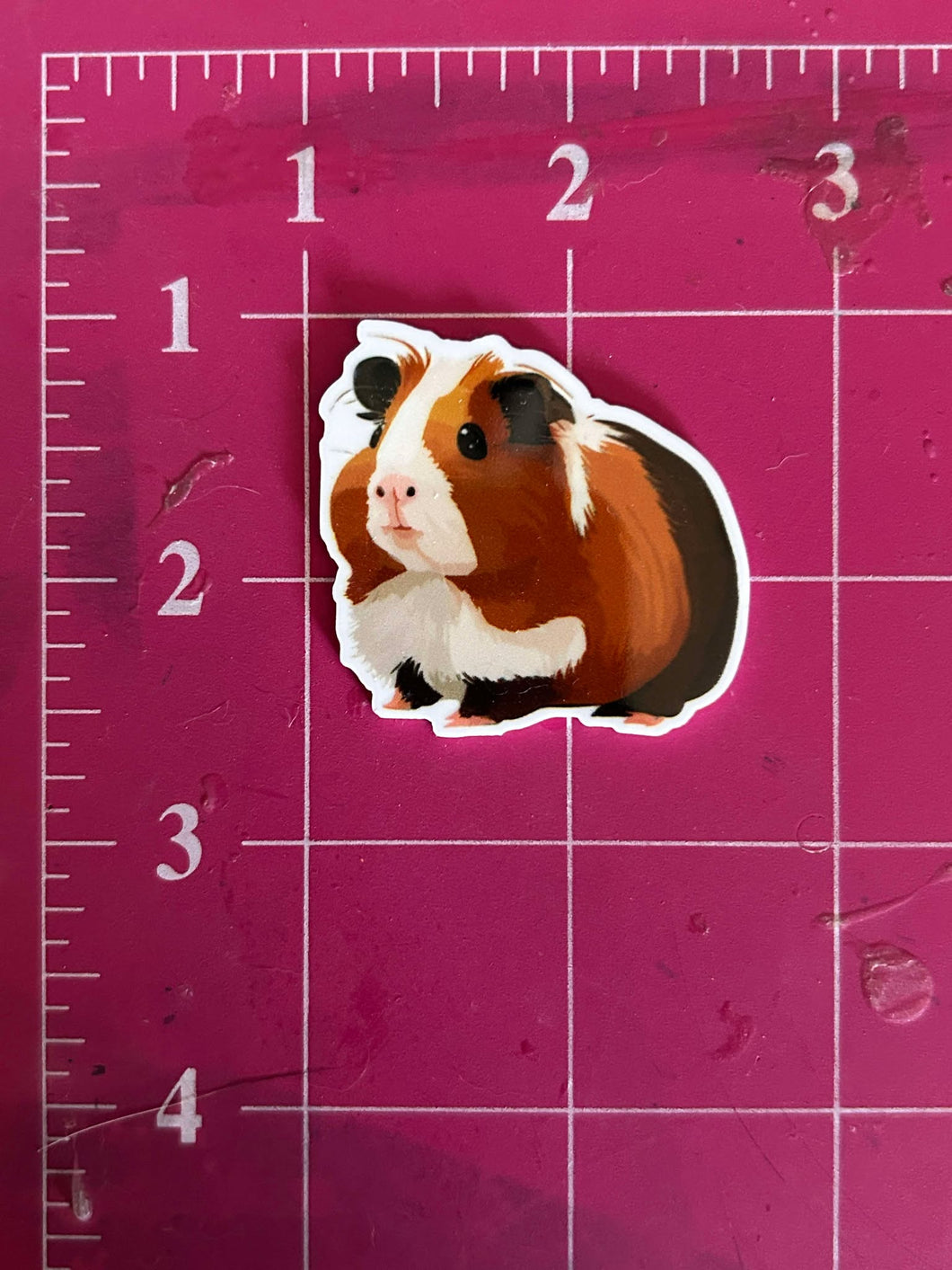 NEW Cute Guinea pig Flat back Printed Resin