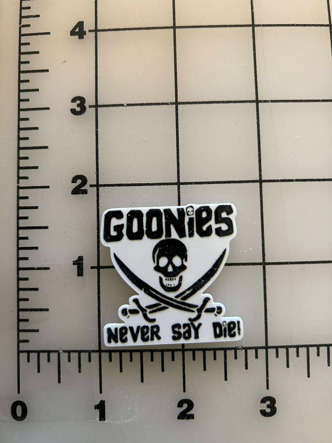 NEW Goonies Flatback Printed Resin