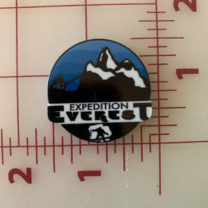 Animal Kingdom Roller Coaster Expedition Everest circle Flat back Printed Resin
