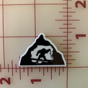 Animal Kingdom Roller Coaster Expedition Everest Flat back Printed Resin