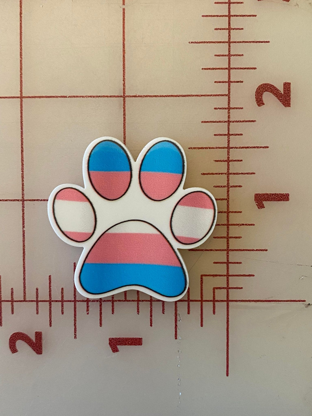 Transgender Pride LGBTQ Paw Flat back Printed Resin