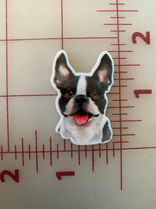 Boston Terrier Flat back Printed Resin