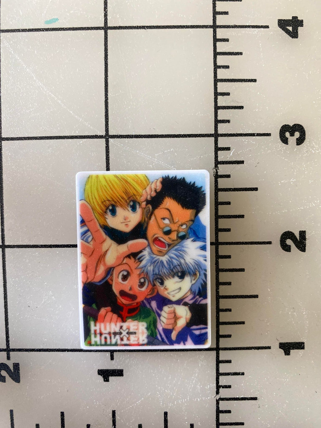 Hunter × Hunter Anime Flat back Printed Resin