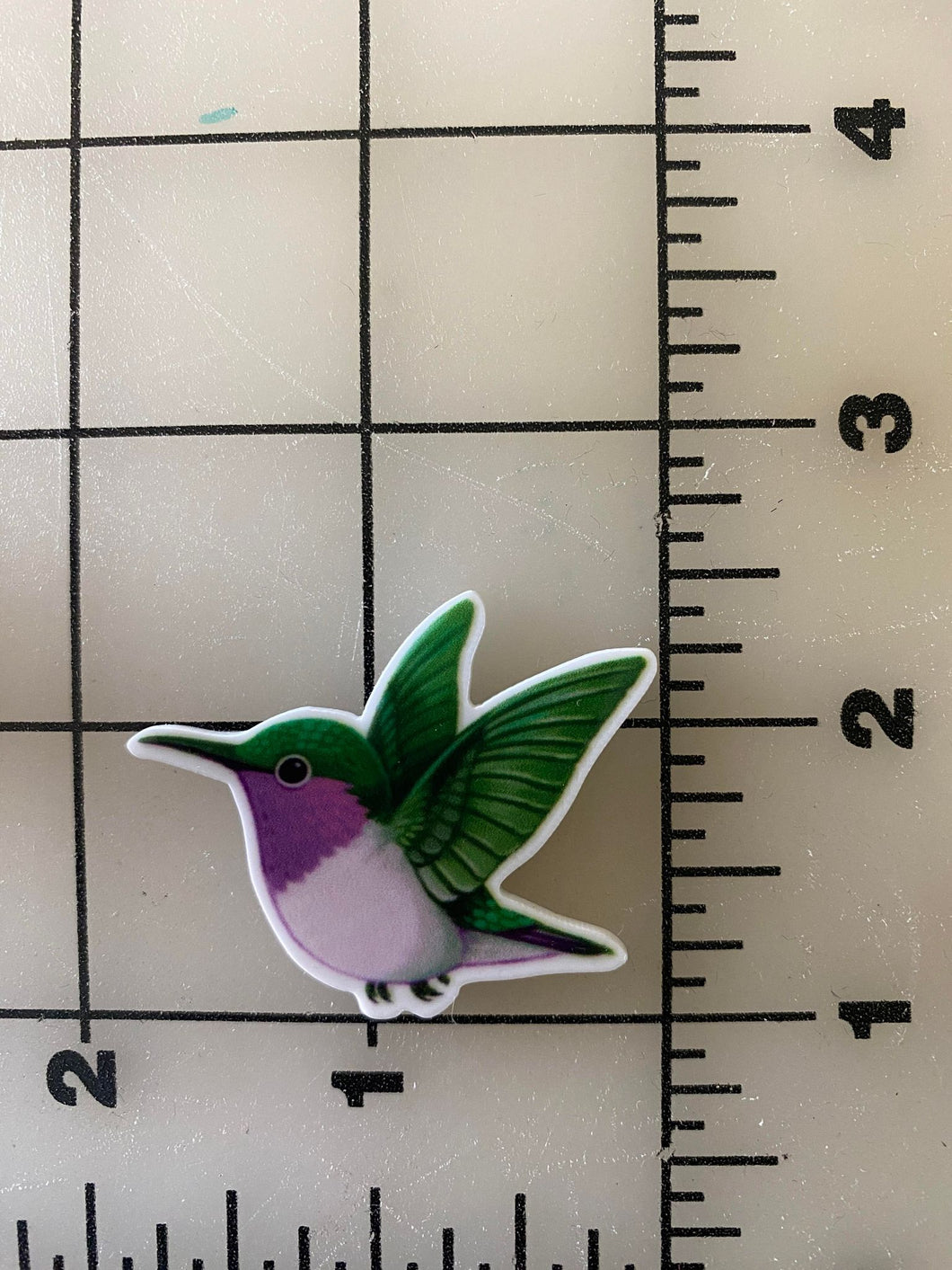 Hummingbird Flat Back Printed Resin